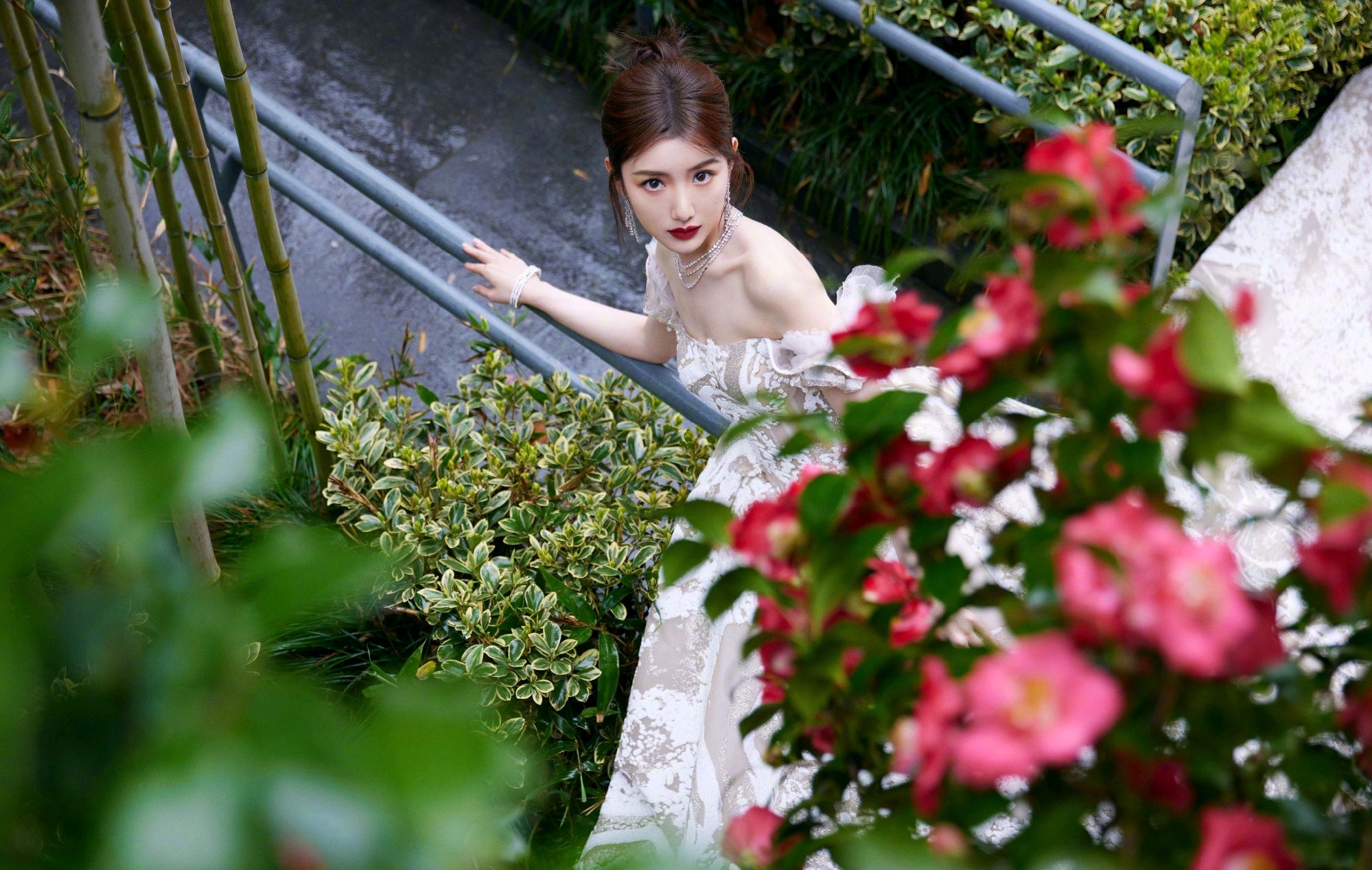 明星写真美图|毛晓彤