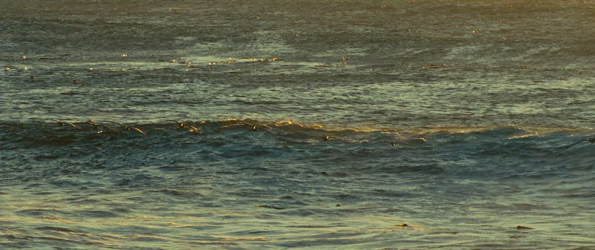 《海洋》4k|1080p高清百度网盘