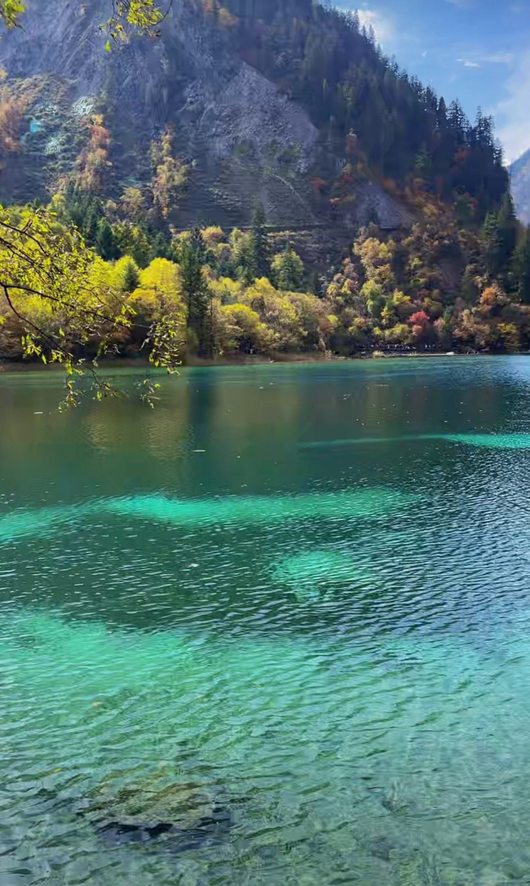 秋天风景# 秋水伊人