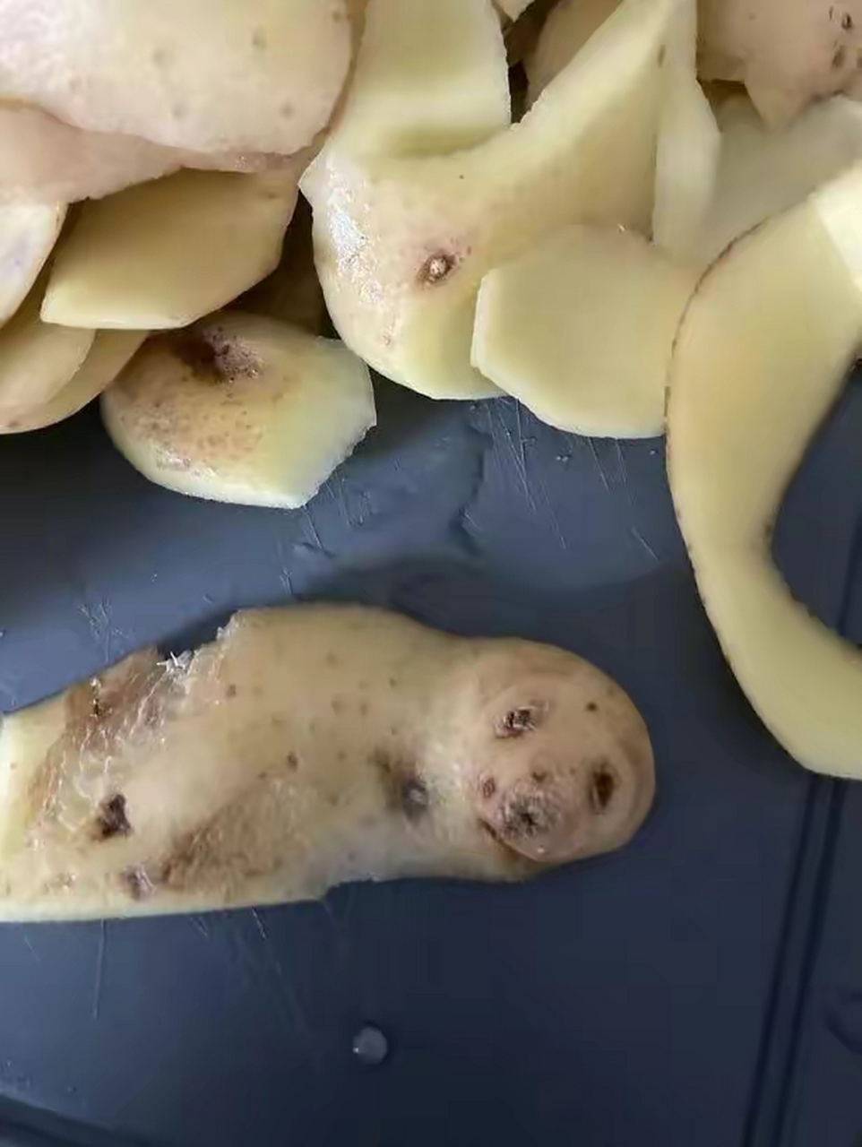 土豆"成精"了,女子发现长得像海豹的土豆,观众都为之震惊