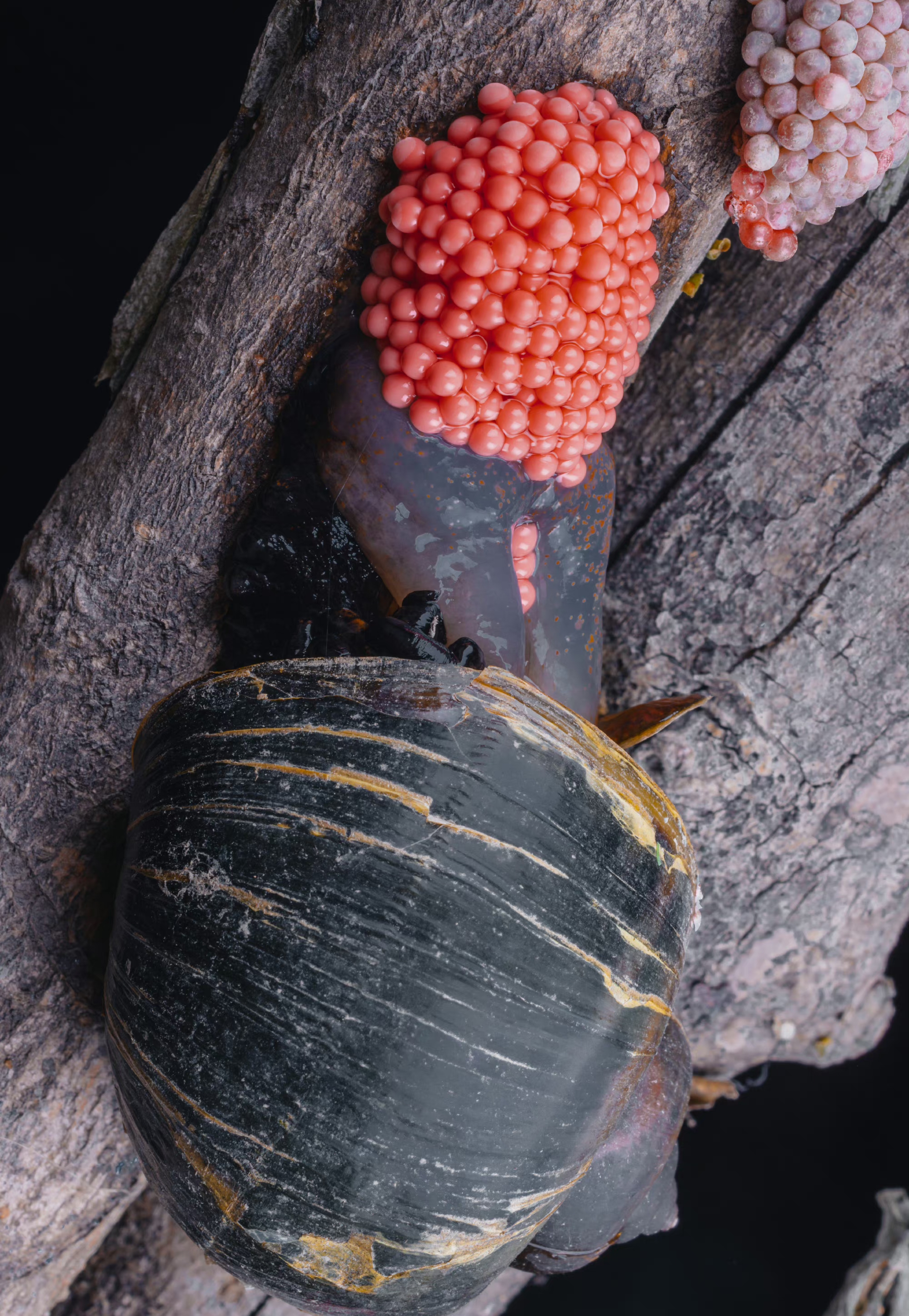 以积极的姿态迎接每一天, 做好当下的每一件事