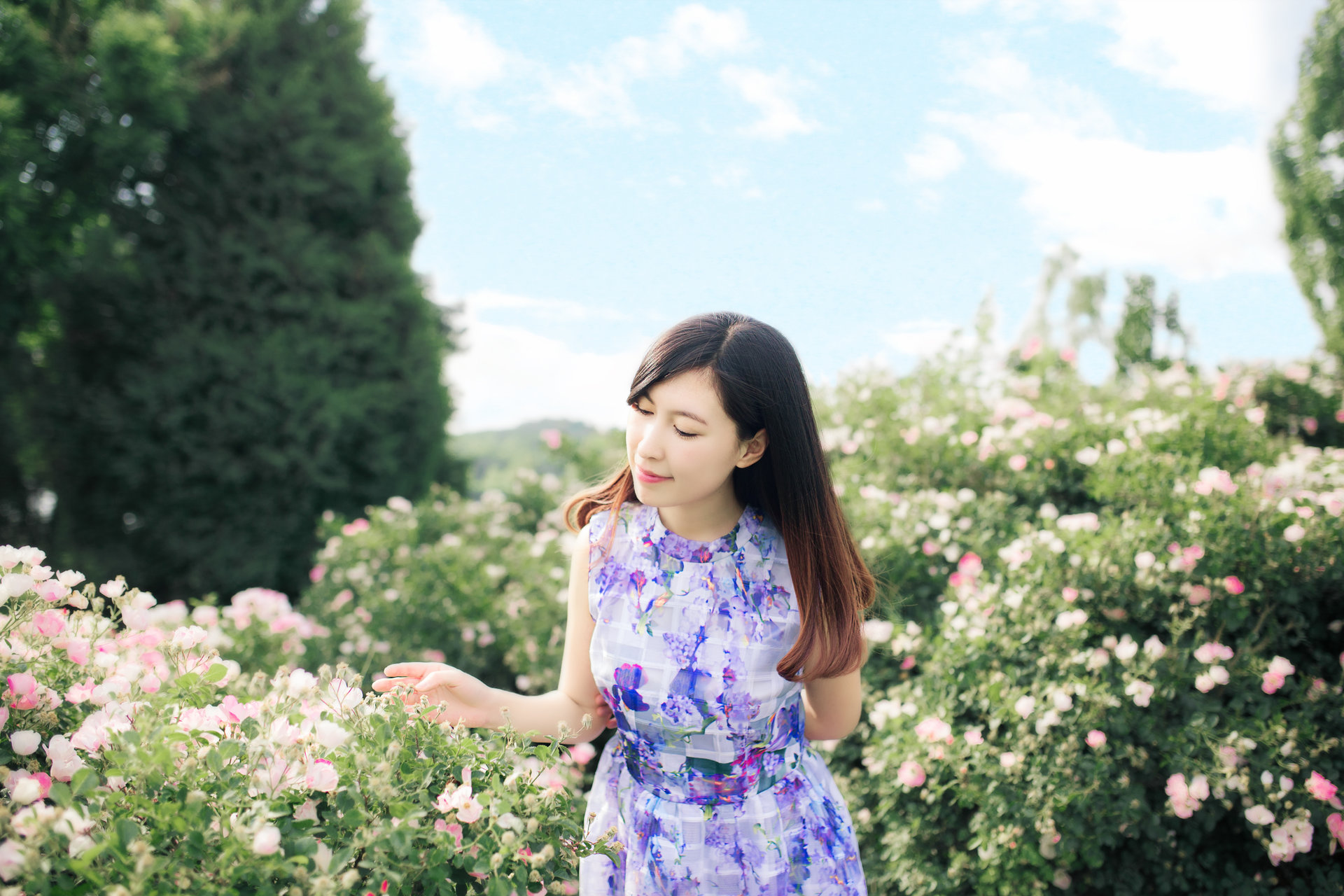 文芃芃