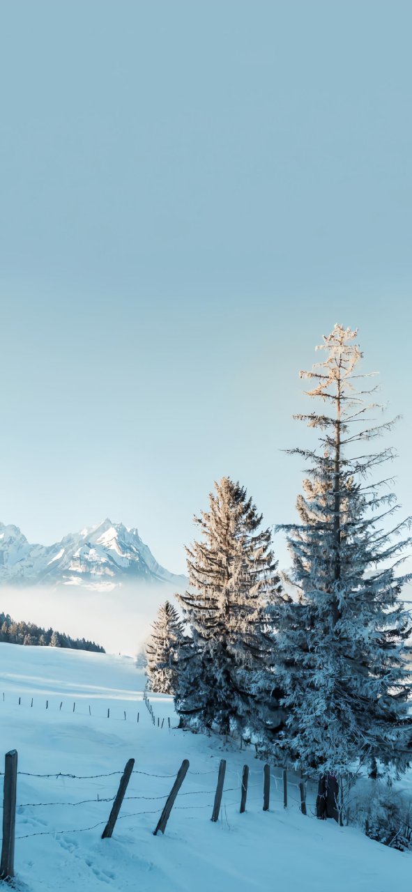 雪景壁纸 67