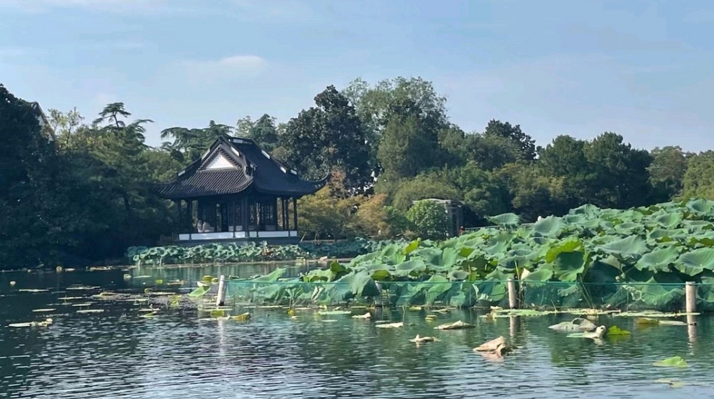 乌龟潭景区是杭州西湖风景名胜区的一颗璀璨明珠,位于杨公堤以西,是一