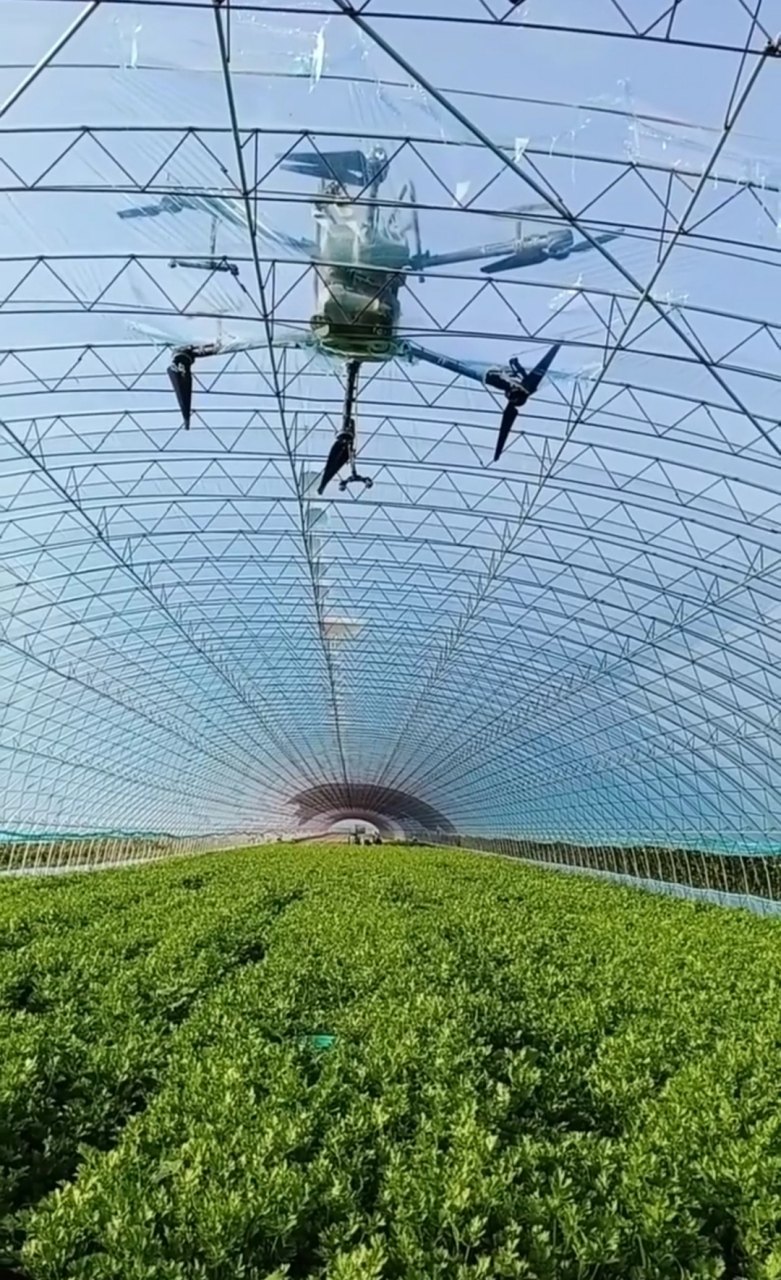 一个这么大的无人机掉大棚上了,在不破坏大棚膜的情况下怎么才能把这