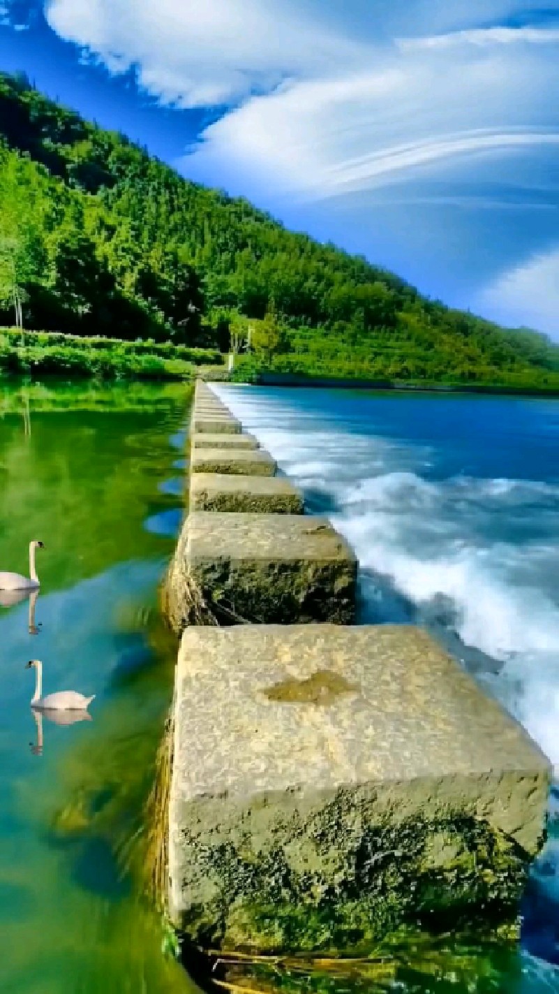 让自己忙碌的心灵在唯美的风景中寻找放松,远离世俗的浮华,心灵的一片