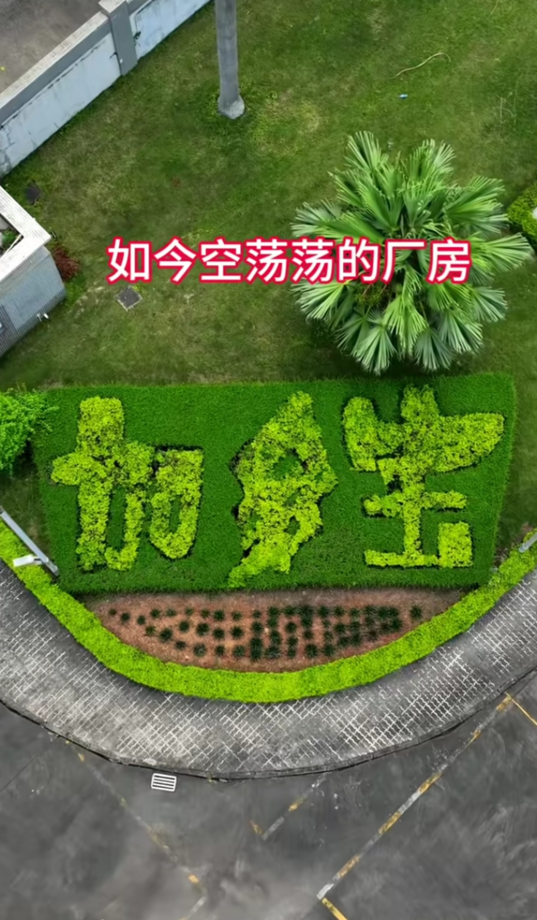 广东凉茶大王加多宝工厂现状引发网友热议!