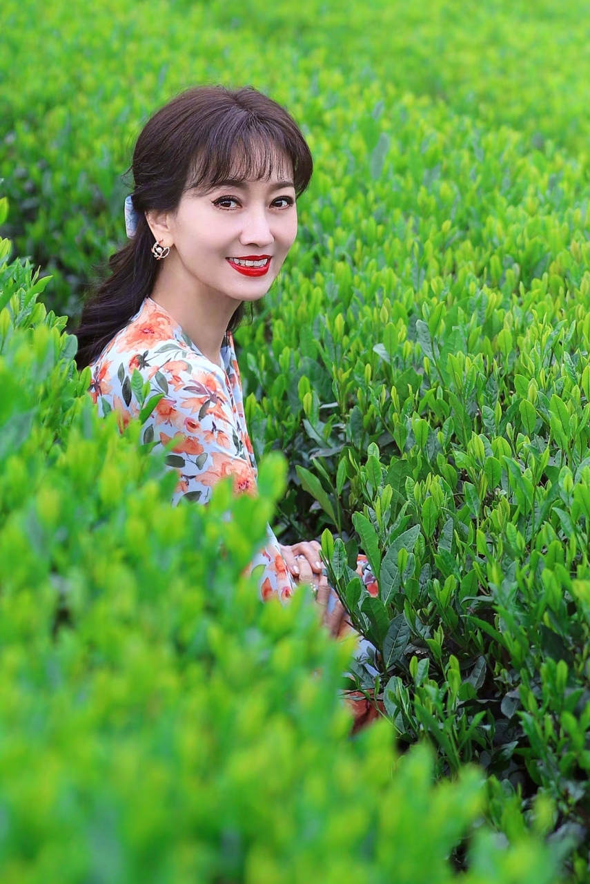 赵雅芝 #赵雅芝