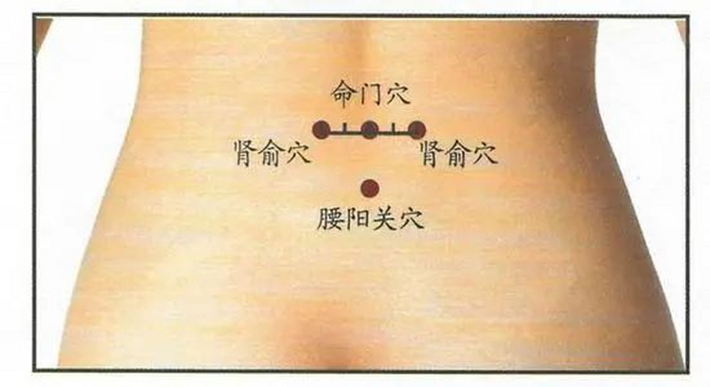 阳气足命长?一方大补,五脏阳气真能回?