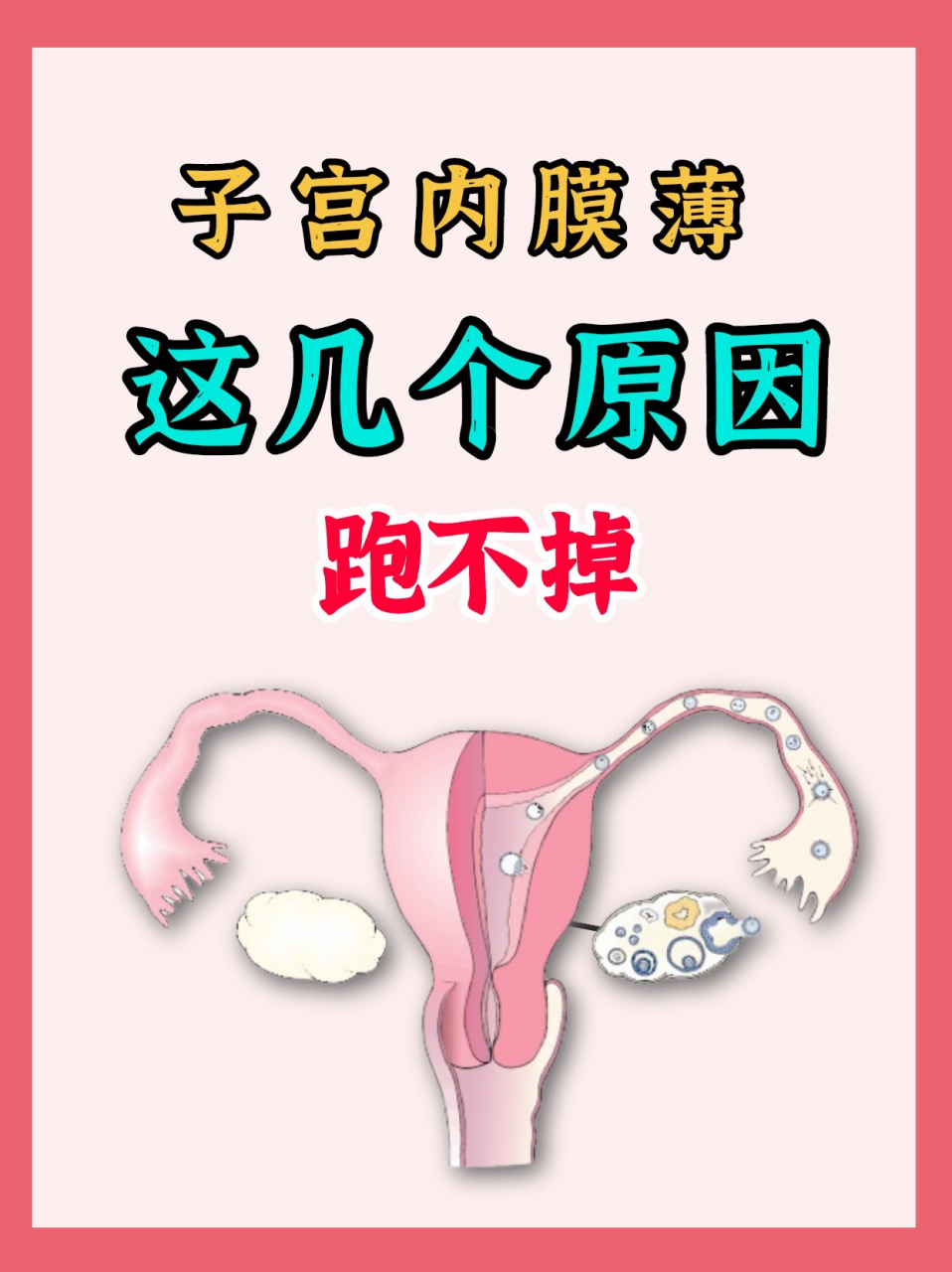 子宫内膜薄,这几个原因跑不掉!