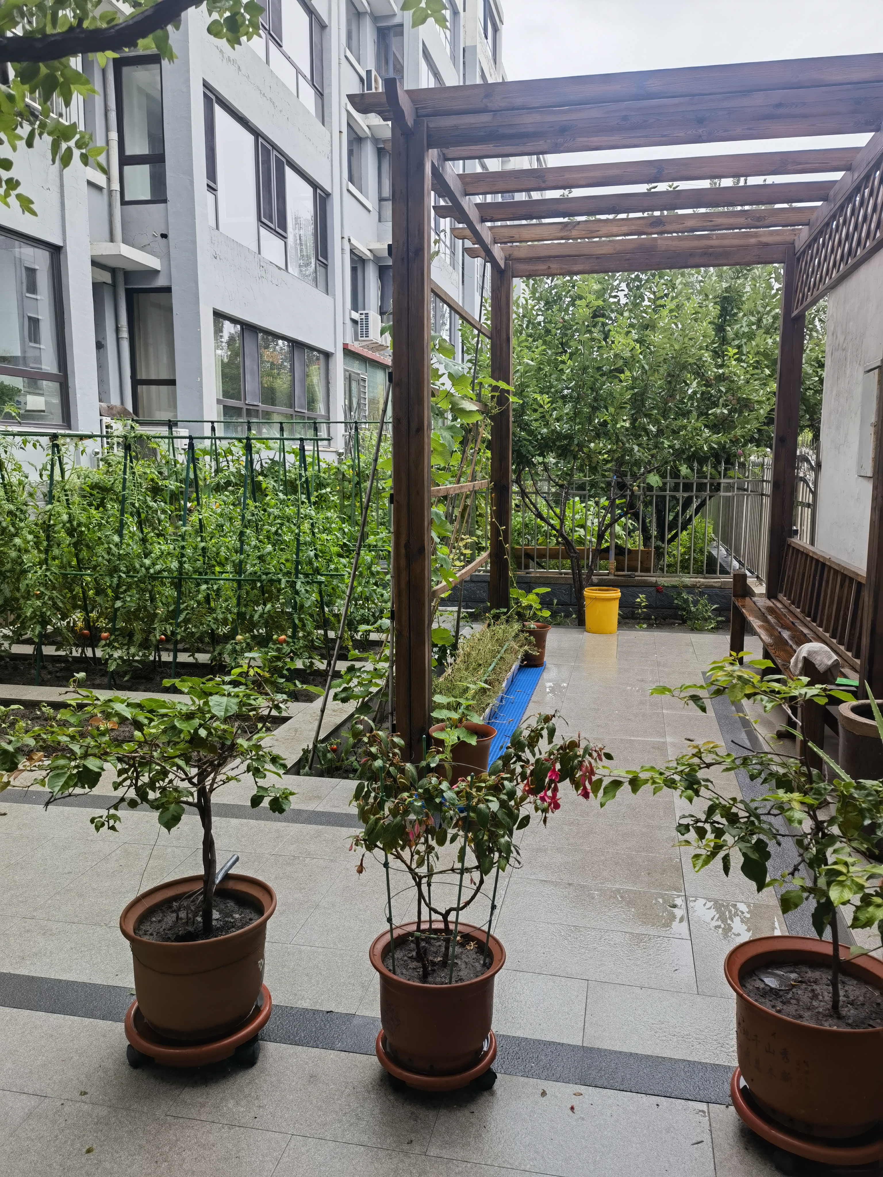 丝丝细雨绵绵 蒙蒙烟雾弥漫