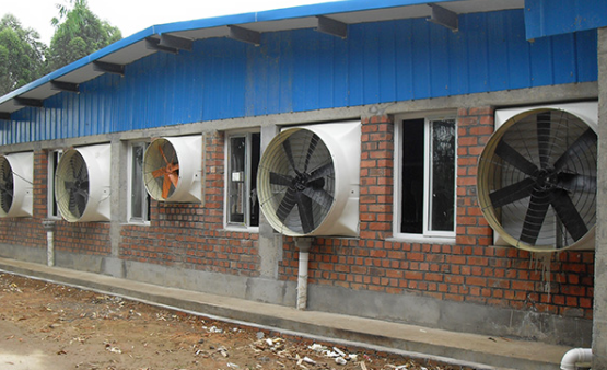 全封闭的猪舍排风设备怎么选?怎么用负压风机做到通风又祛味?