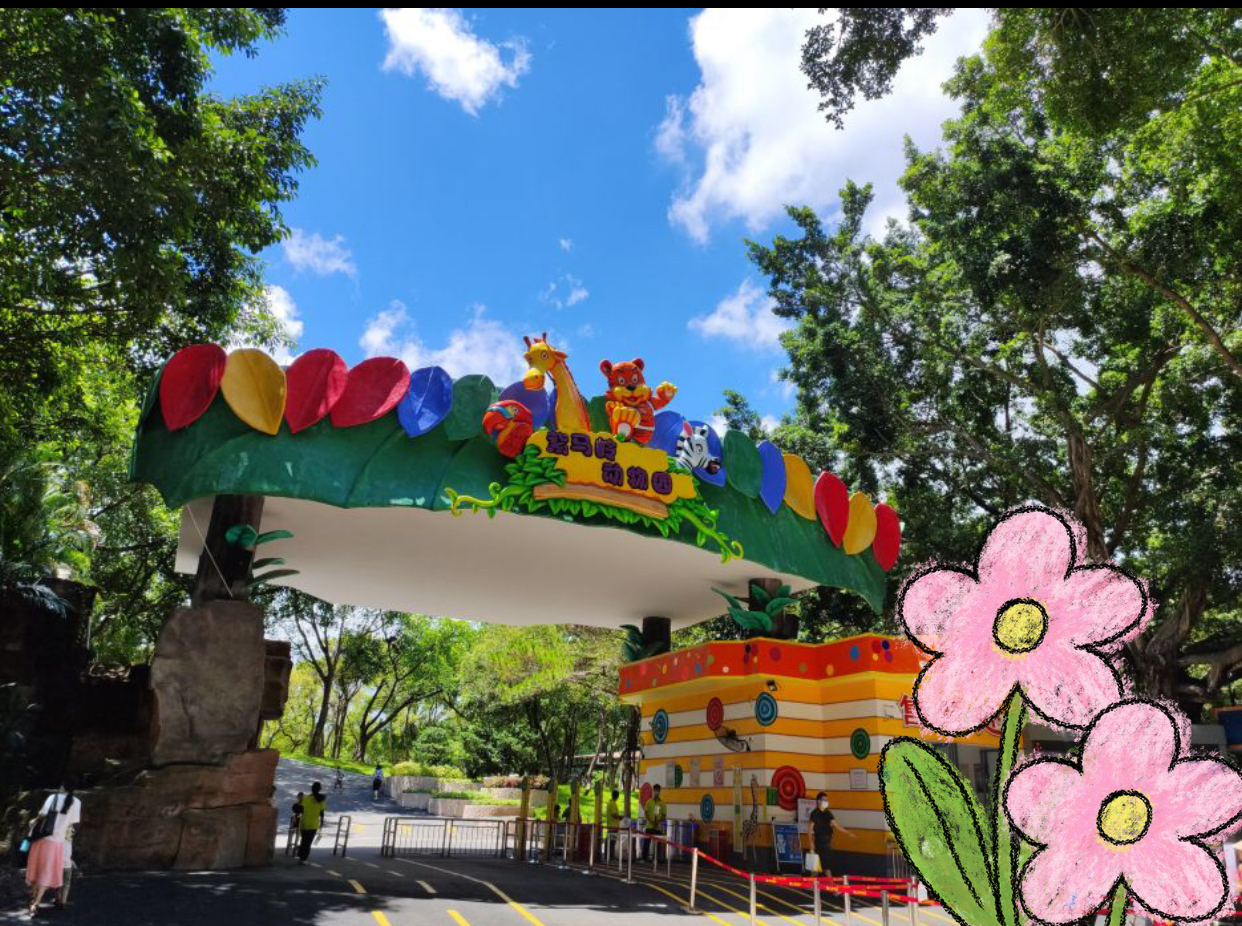 打卡中山紫马岭动物园