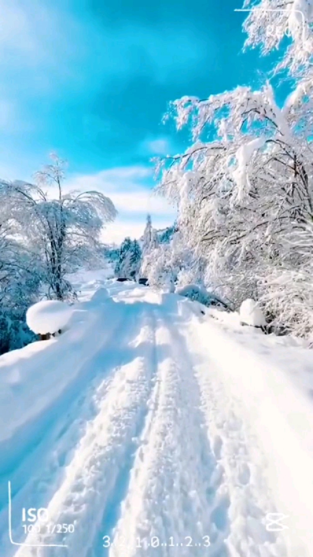 白茫茫的雪景图片