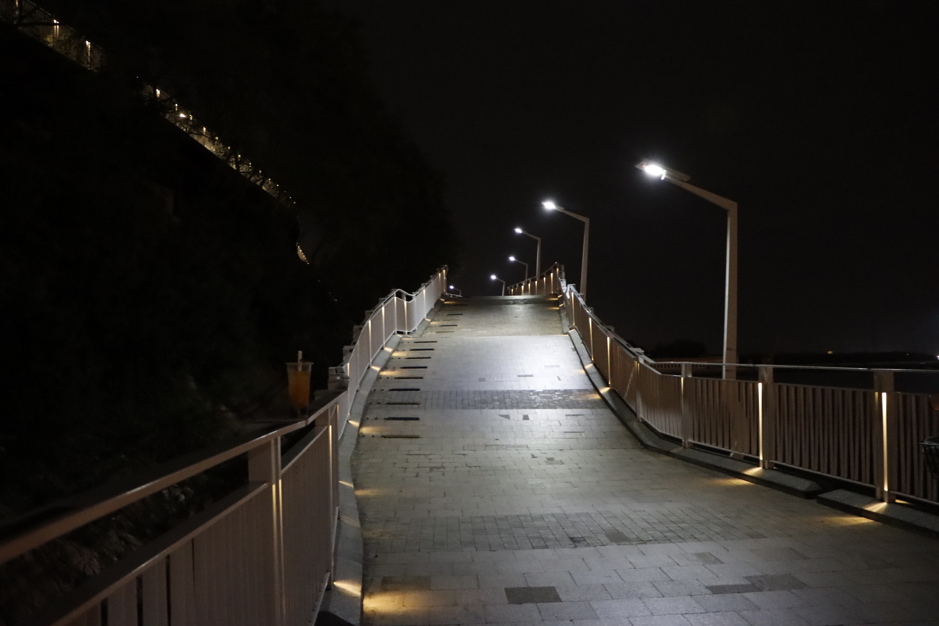 夜游盐田海鲜街