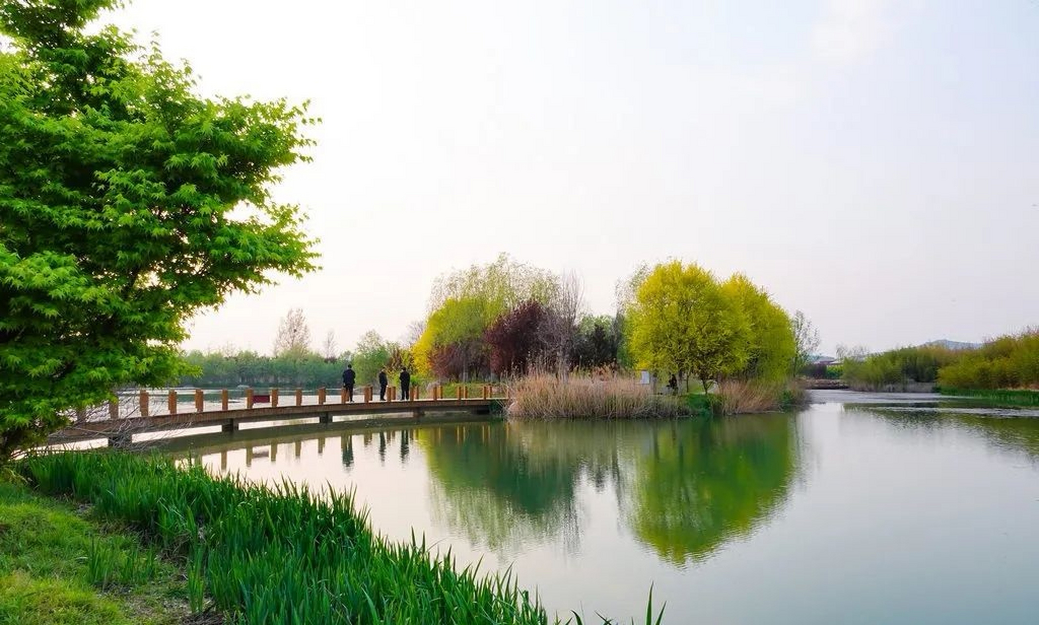 淇河还是"《诗经》故乡之河".