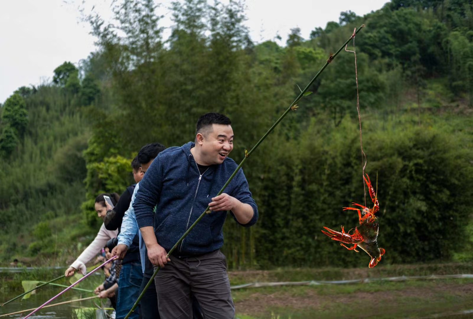 猪肝钓小龙虾,你们谁知道还可以用什么饵料钓龙虾?