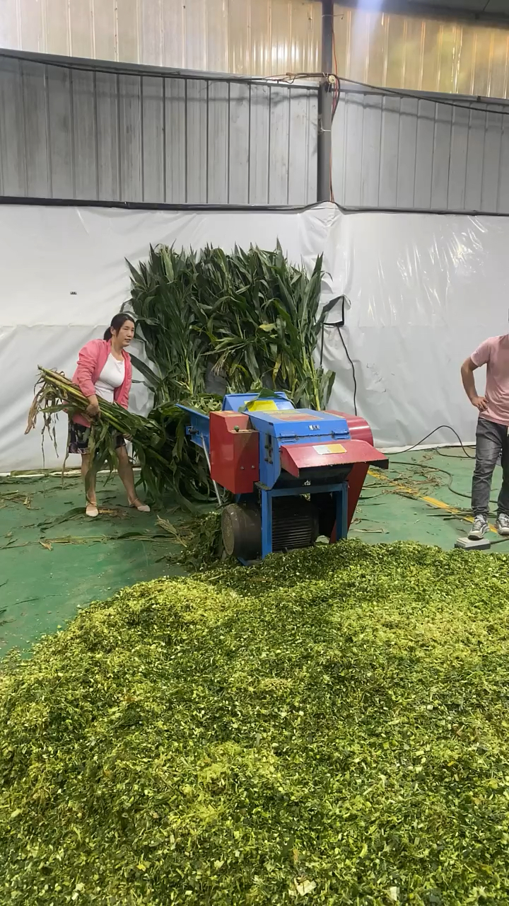 6.8吨铡草揉丝一体机干湿两用长短可以调节