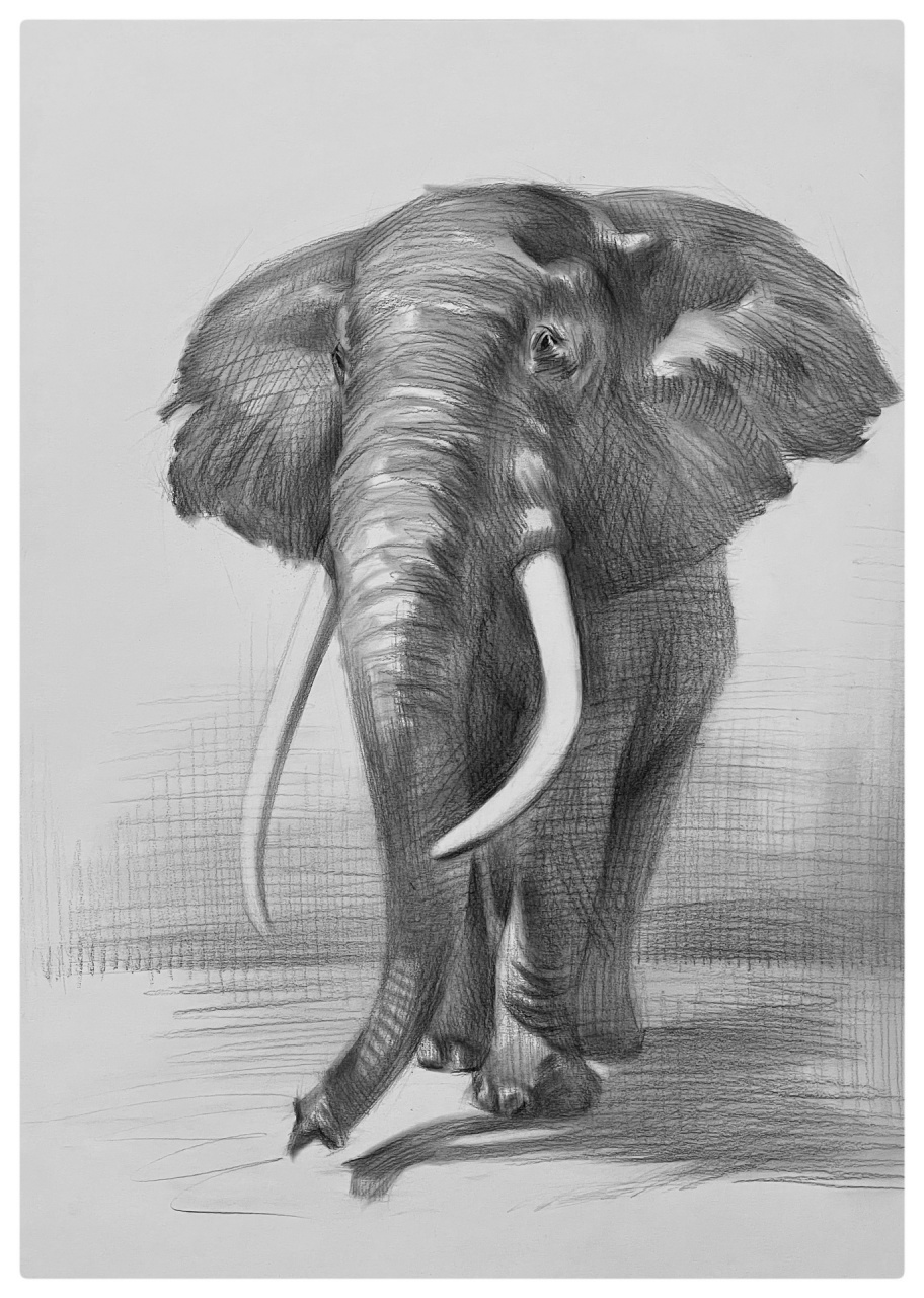 美术生# #素描# #画画