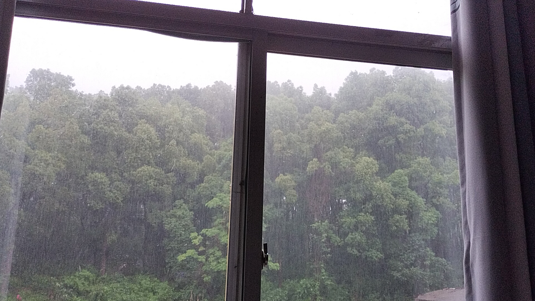 窗外下着大雨依然要坚持上班