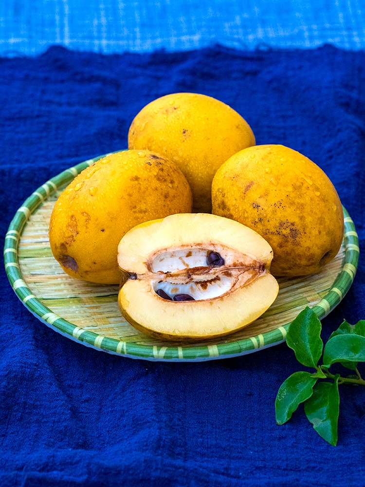 南方木瓜和北方木瓜