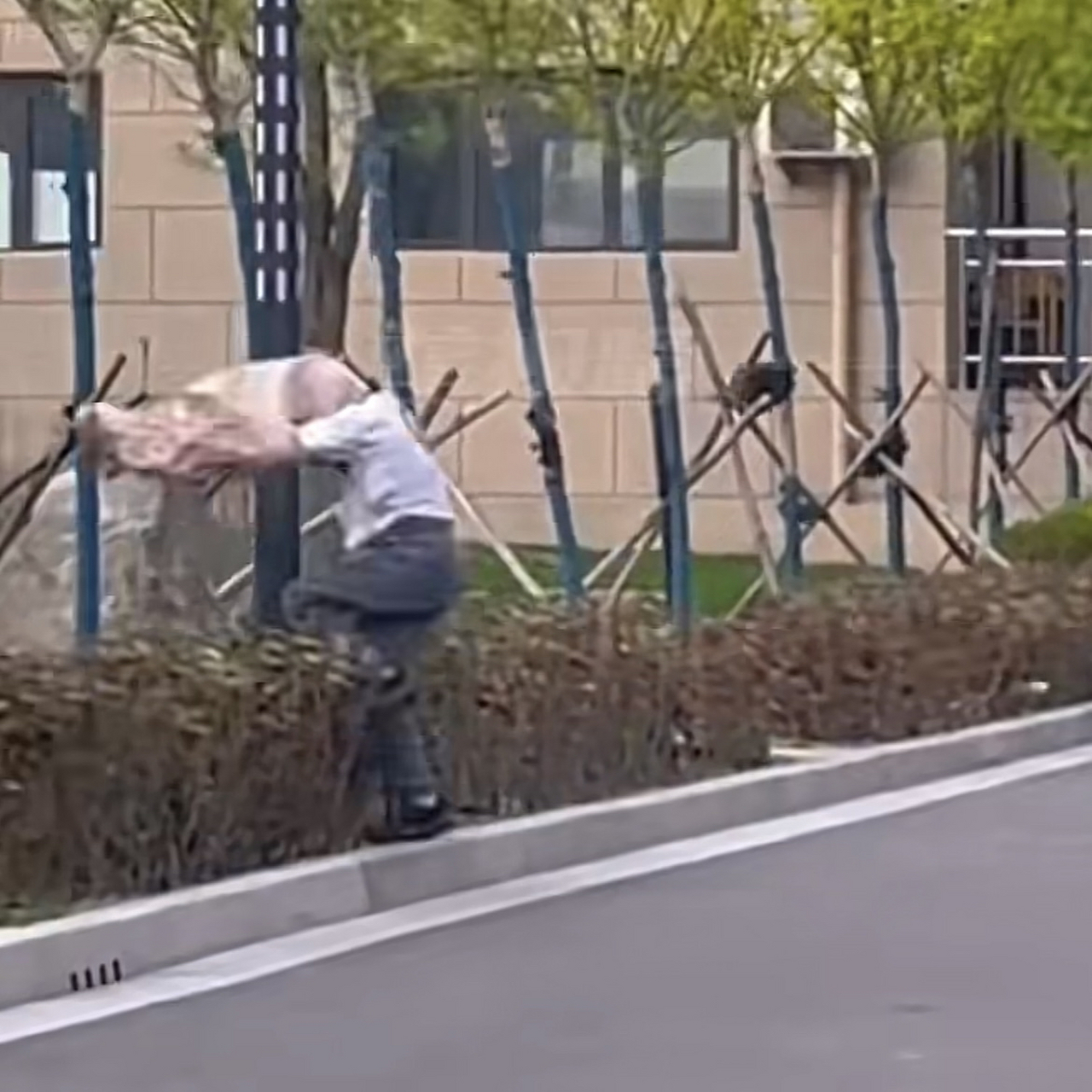 山西运城,一小女孩被风吹进了绿化带,衣服都差点被吹走!