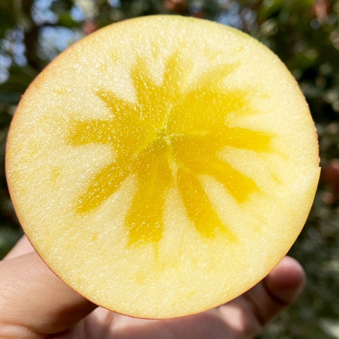 阿克苏冰糖心苹果,真的甜到了心里