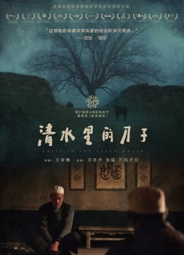 FG三公平台主线登录电影封面图