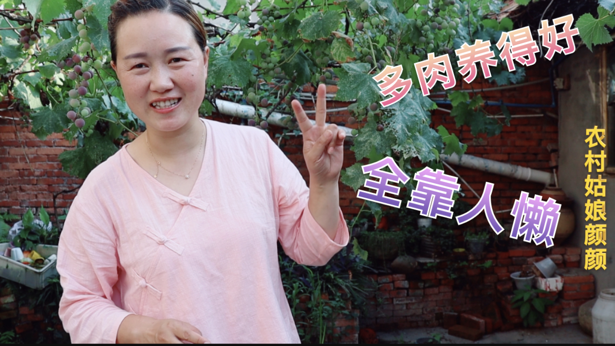 多肉养得好,全靠人“懒”,网友:原来是这样!