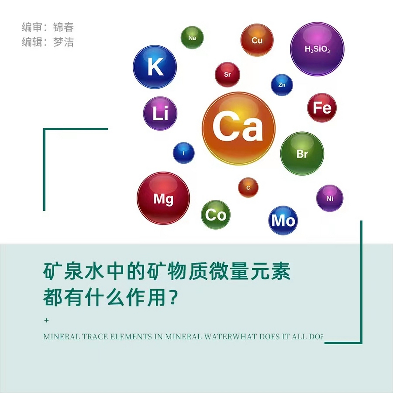 矿物质微量元素都有什么作用?