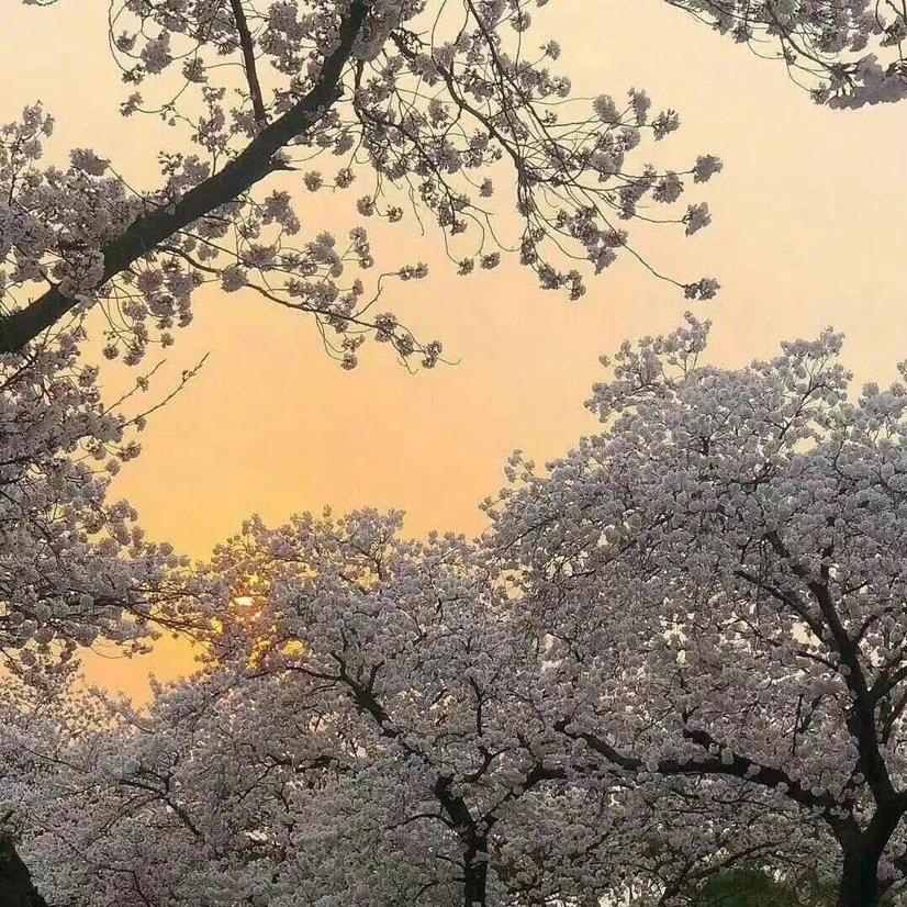 快手如何保存图片没有水印
