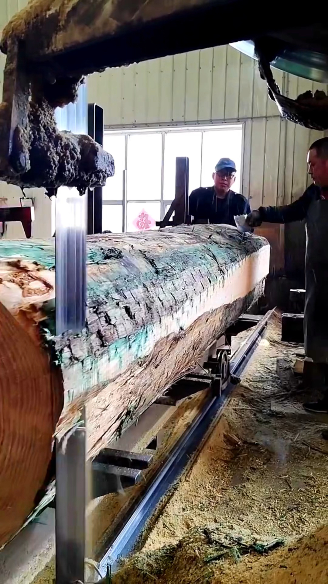 木材原木机械开料,让板材厚度更加均匀平整!