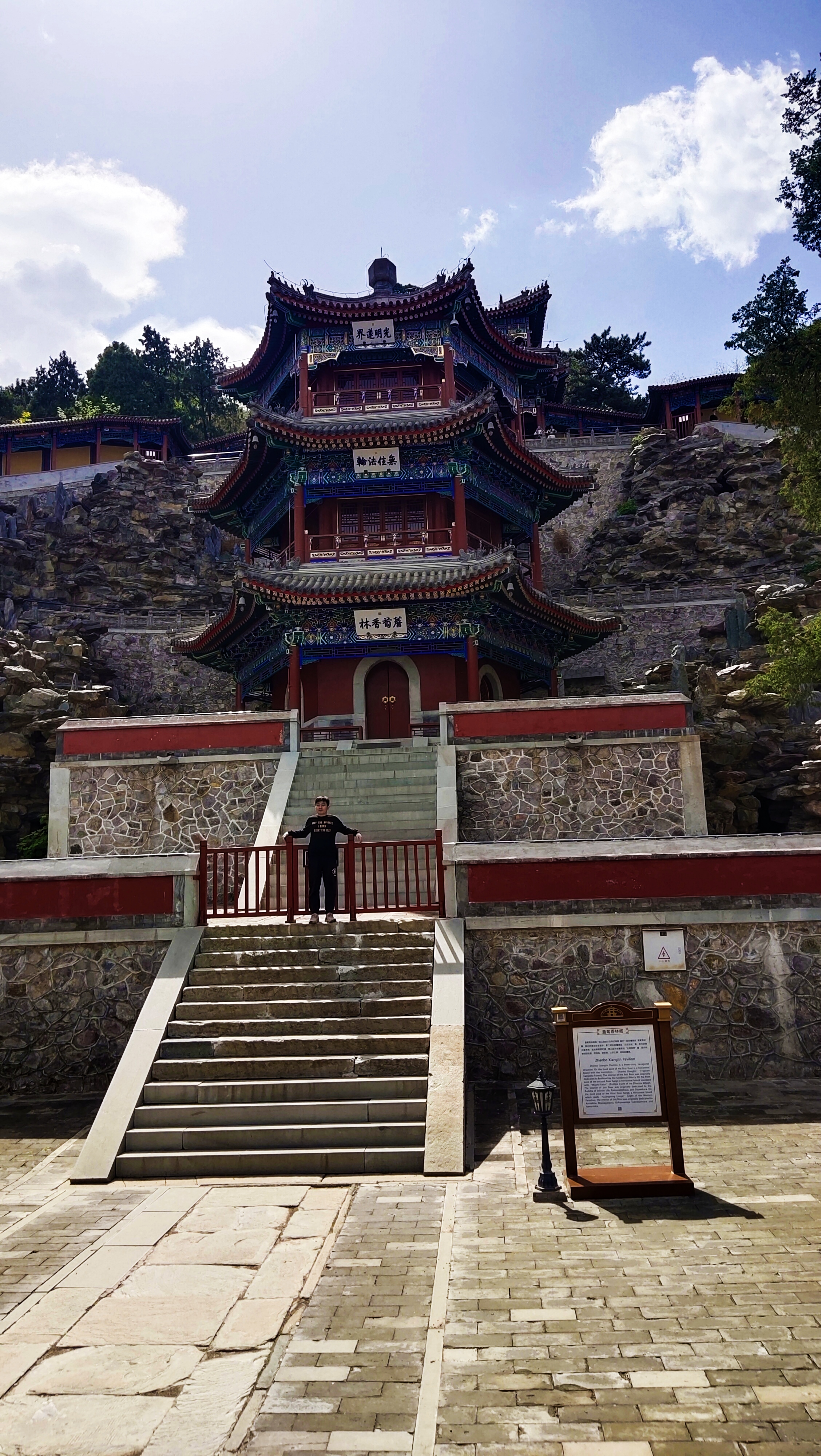 香山公园的松柏树