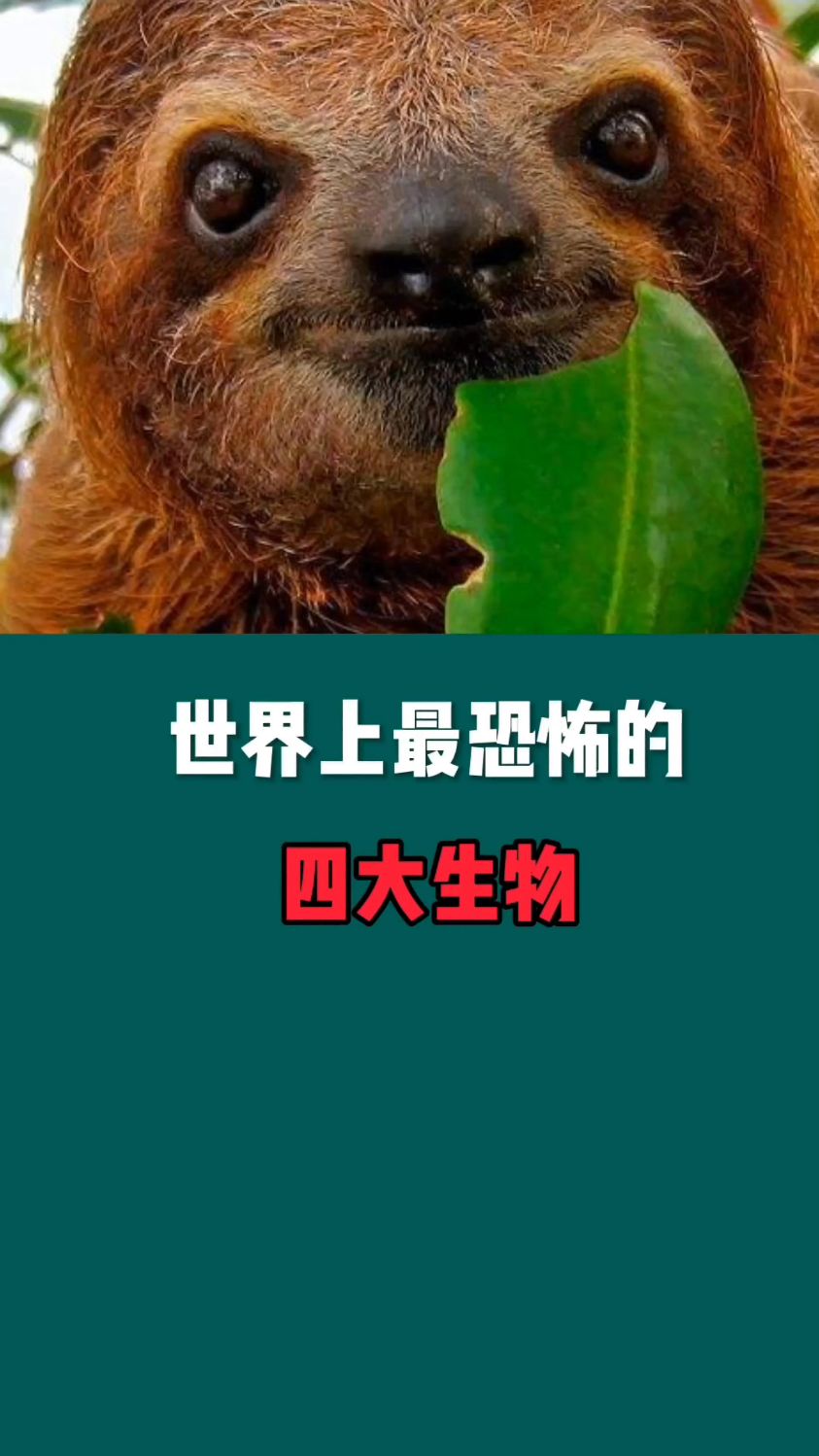世界上最诡异的四大生物