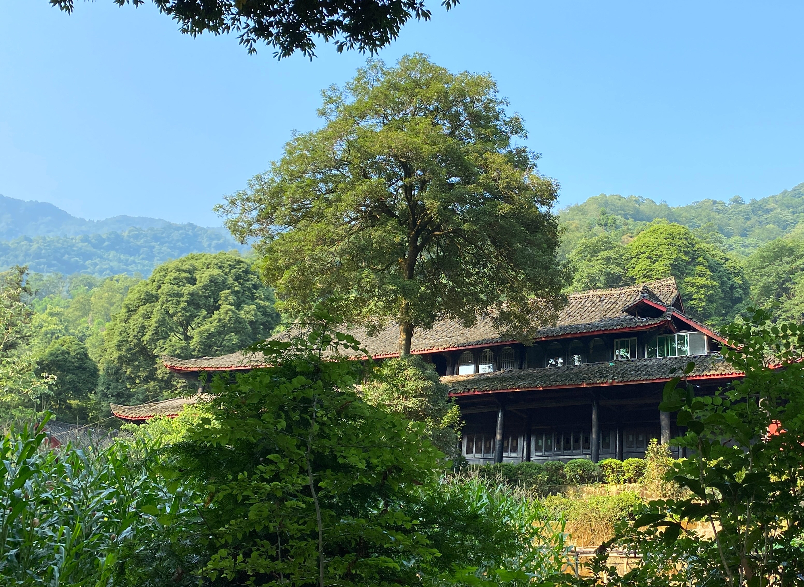 徒步峨眉山第2天:早上在纯阳殿吃了早饭,7.