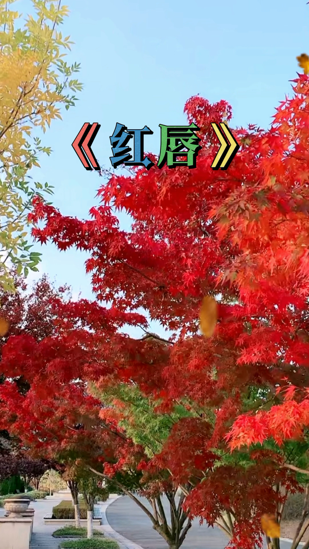 经典歌曲《红唇》