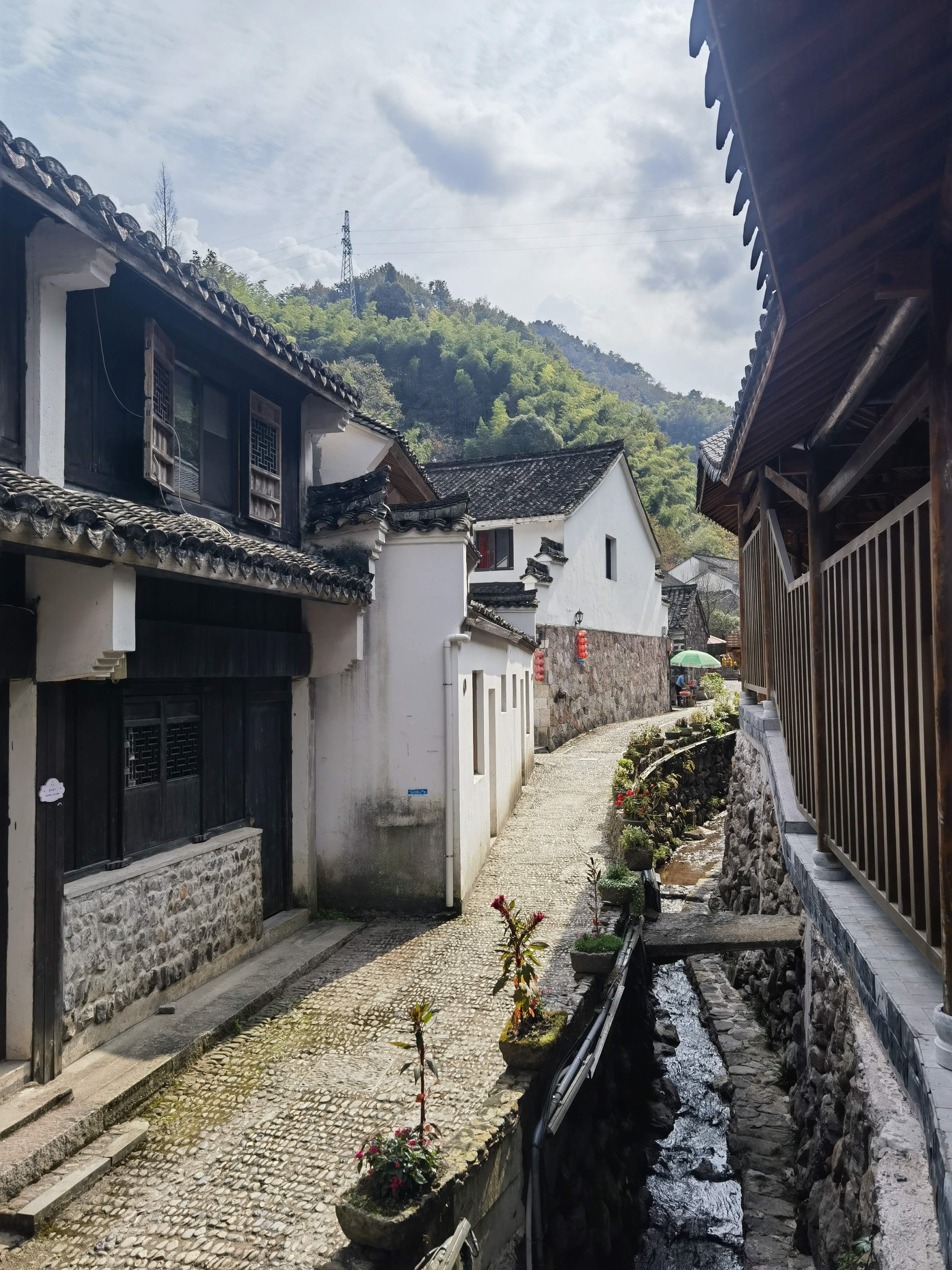 探访历史悠久的李家坑村:古韵与现代元素的完美融合