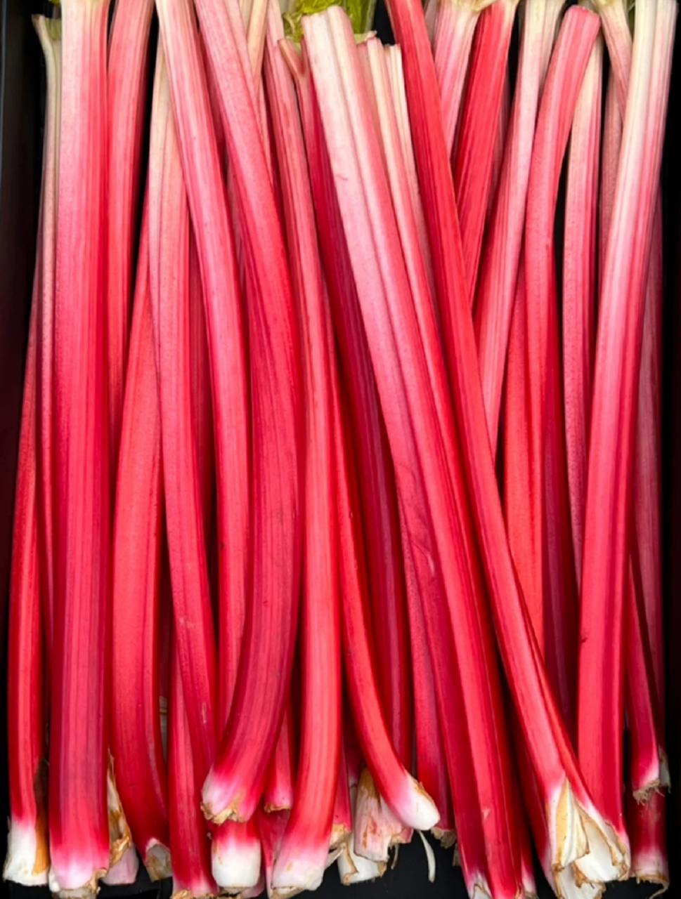 红色的芹菜,还是第一次见!