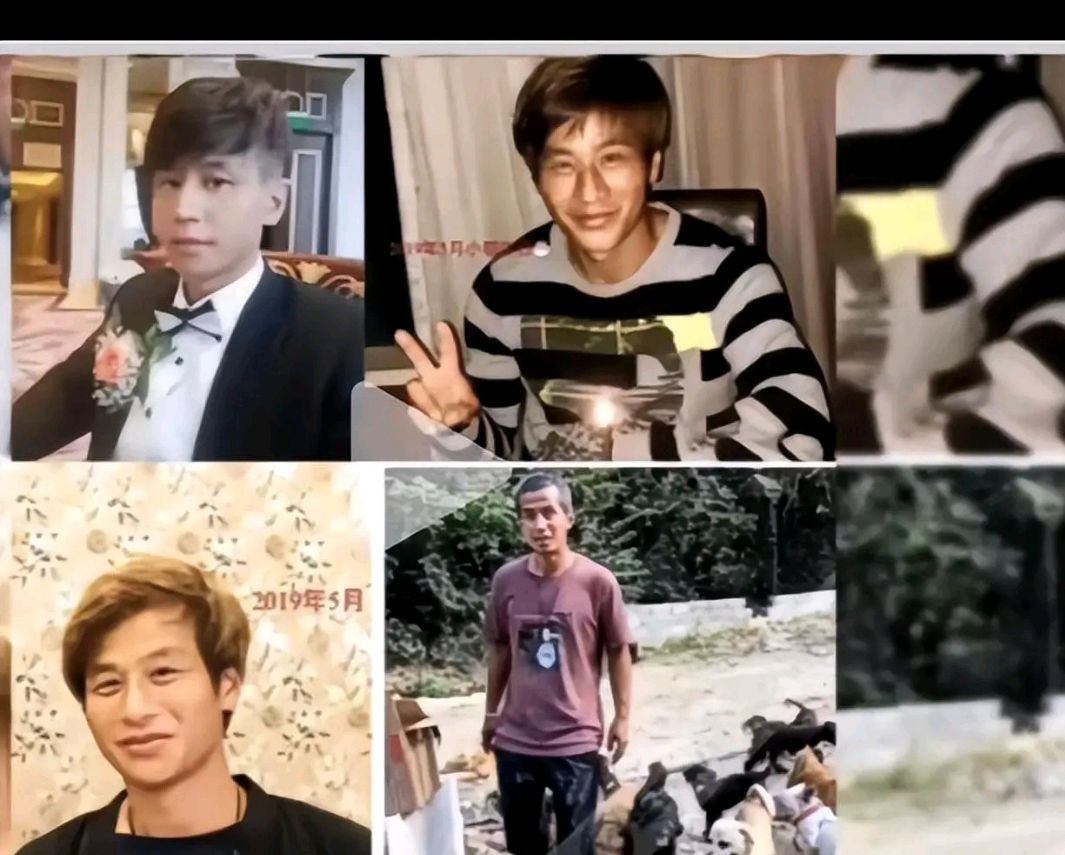 泪目!曾经的上海小开,为拯救流浪小动物千金散尽,贫病而逝