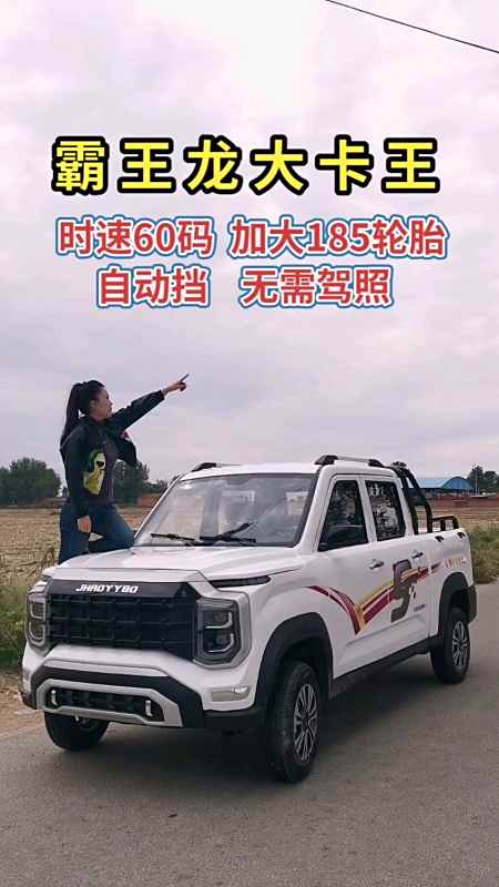 霸王龙皮卡低速电动四轮车老年代步车-度小视