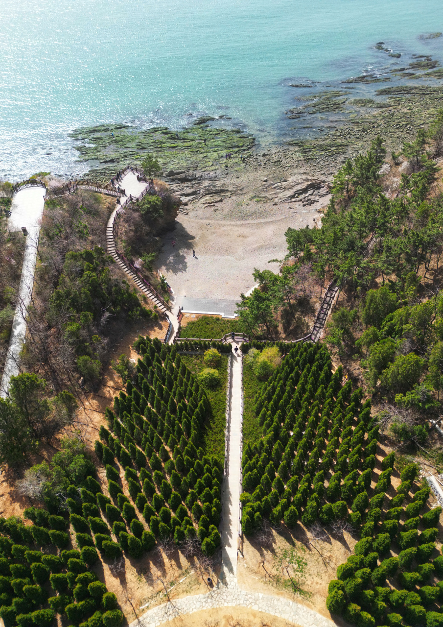 航拍大连七贤岭森林公园,空中俯瞰网红打卡地,不一样的美,你来过吗