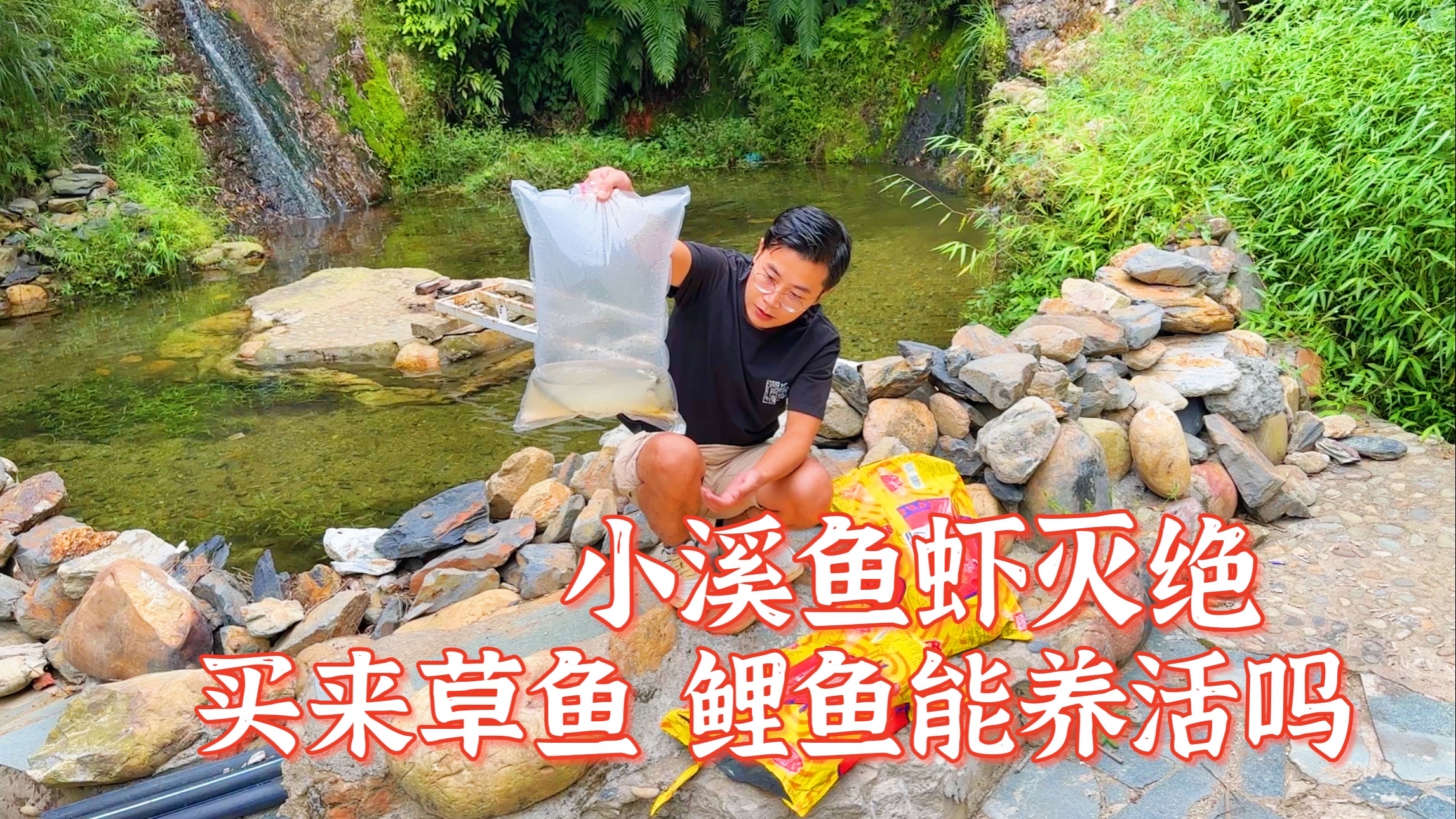 大山小溪鱼虾绝迹,小伙买来活鱼繁殖。能恢复小溪生态吗