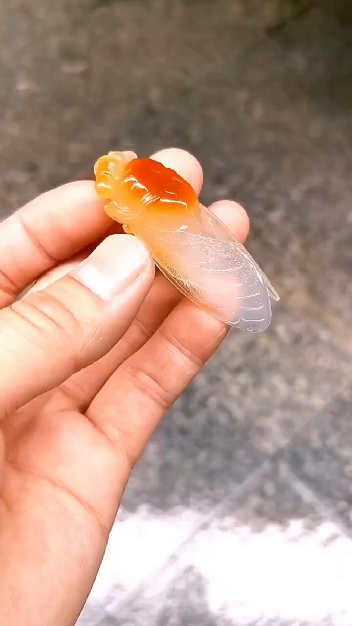 哈哈雕一个儿童时玩的蝉,这个玉雕蝉还真美-度小视