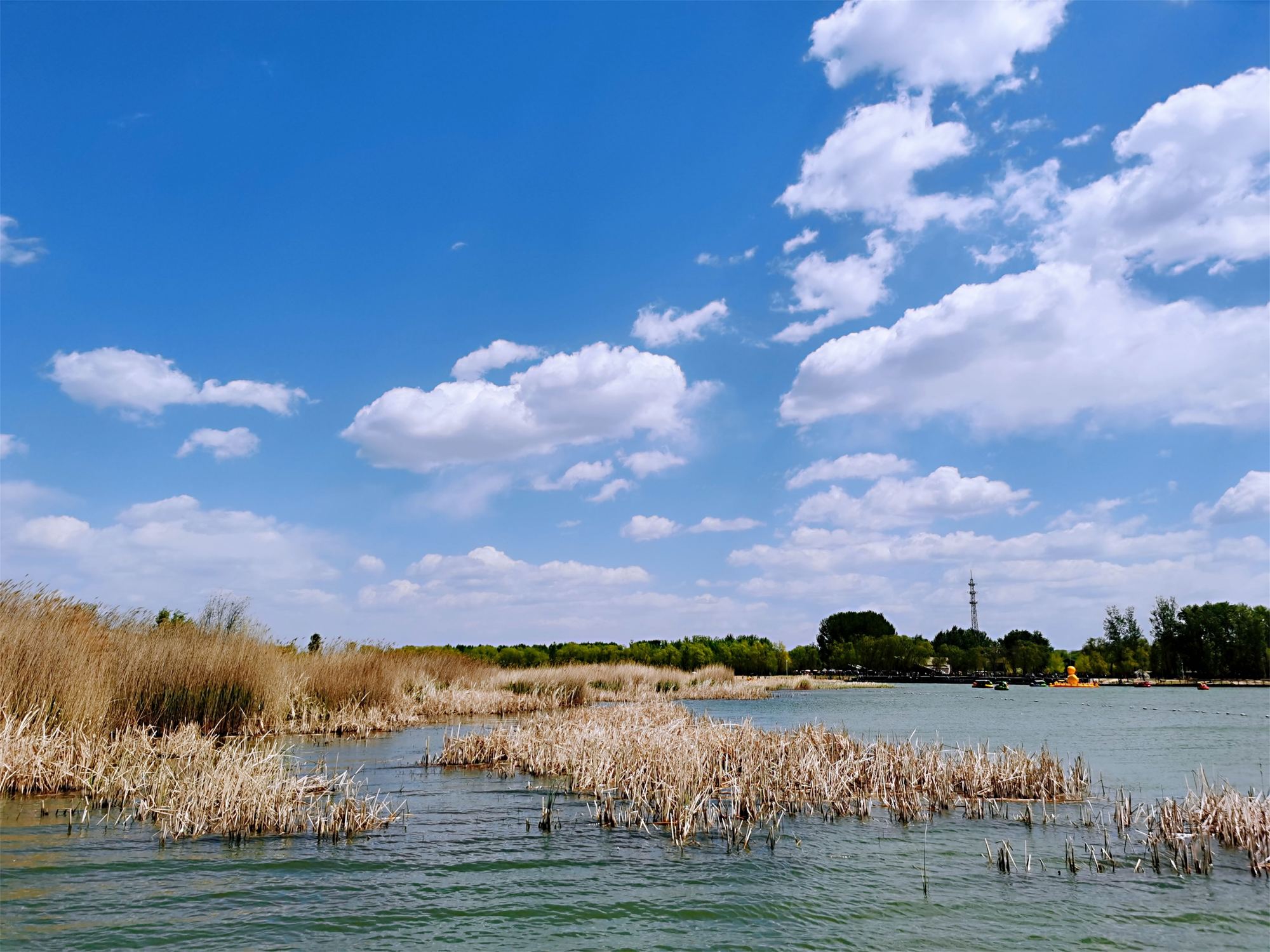 北京市延庆野鸭湖国家湿地公园风景照片