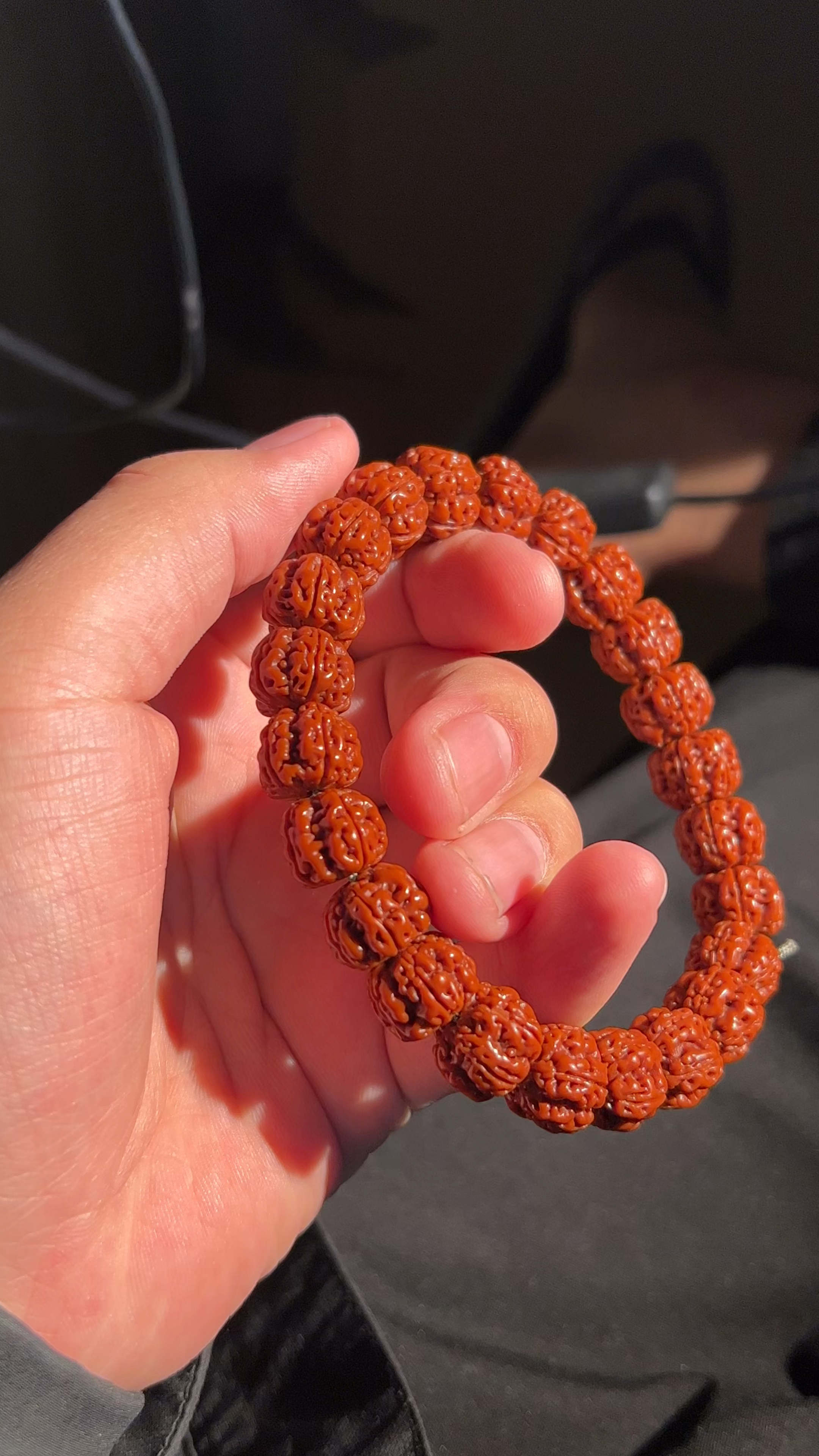 纯手盘玩金刚菩提霸王龙