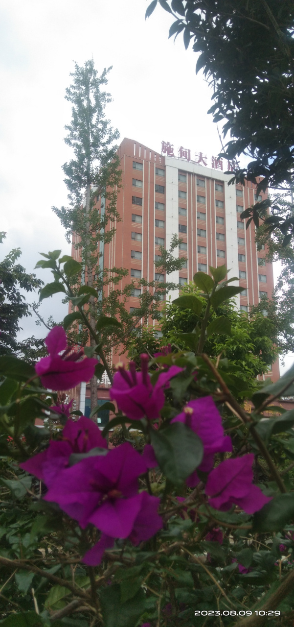 我每天在施甸大酒店的路边过出过进,看的时间长了,也觉平淡无奇,我用