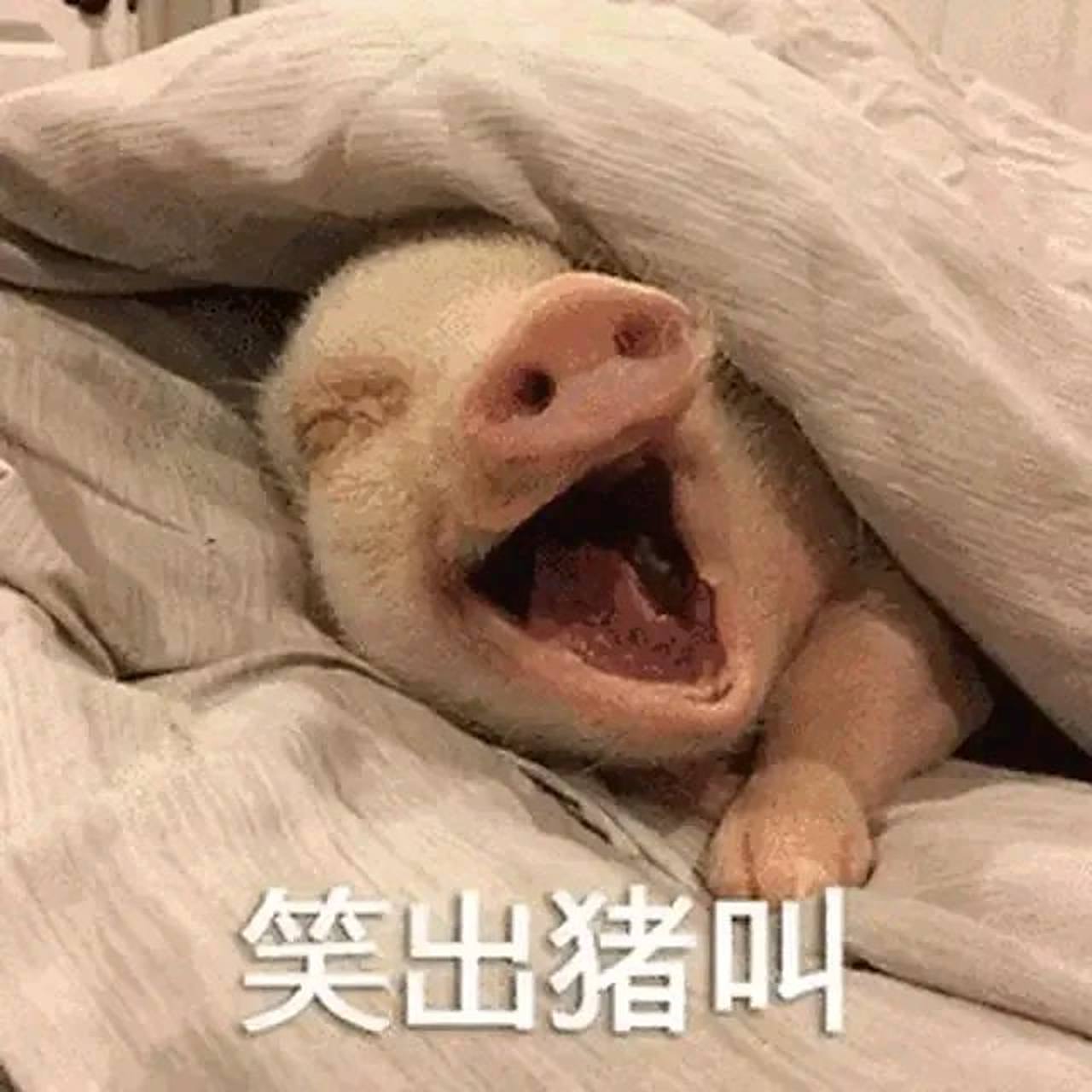 晚上儿子跟我说想出去旅游,说他的小伙伴谁去南京了