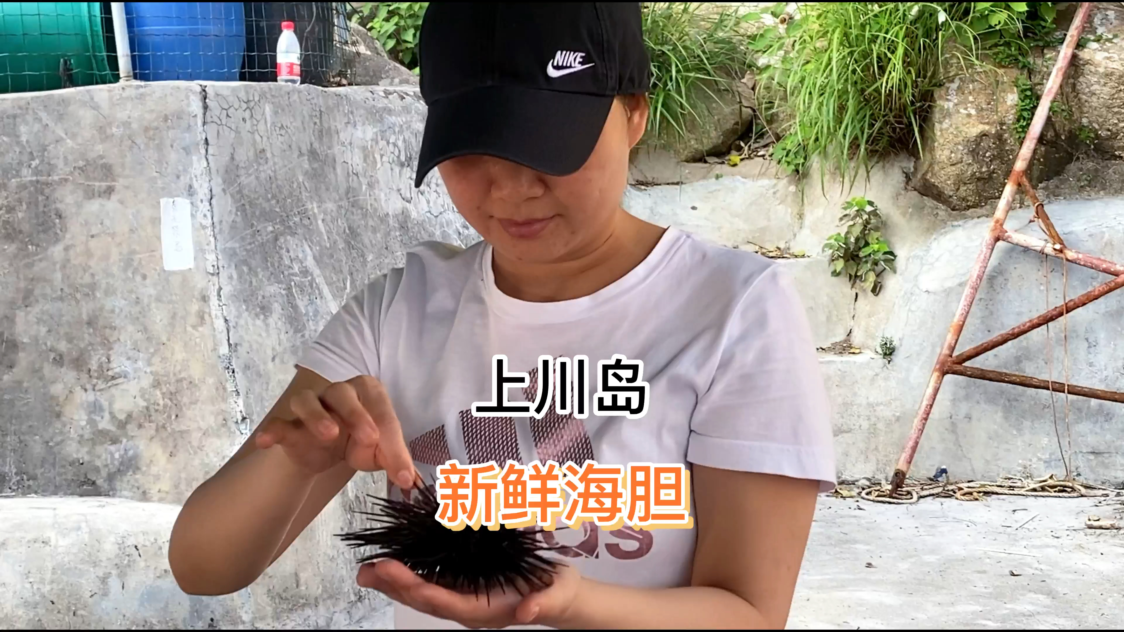 海鲜原产地 活的 海胆 你见过吗?海胆炒饭 超级好吃 川岛特产