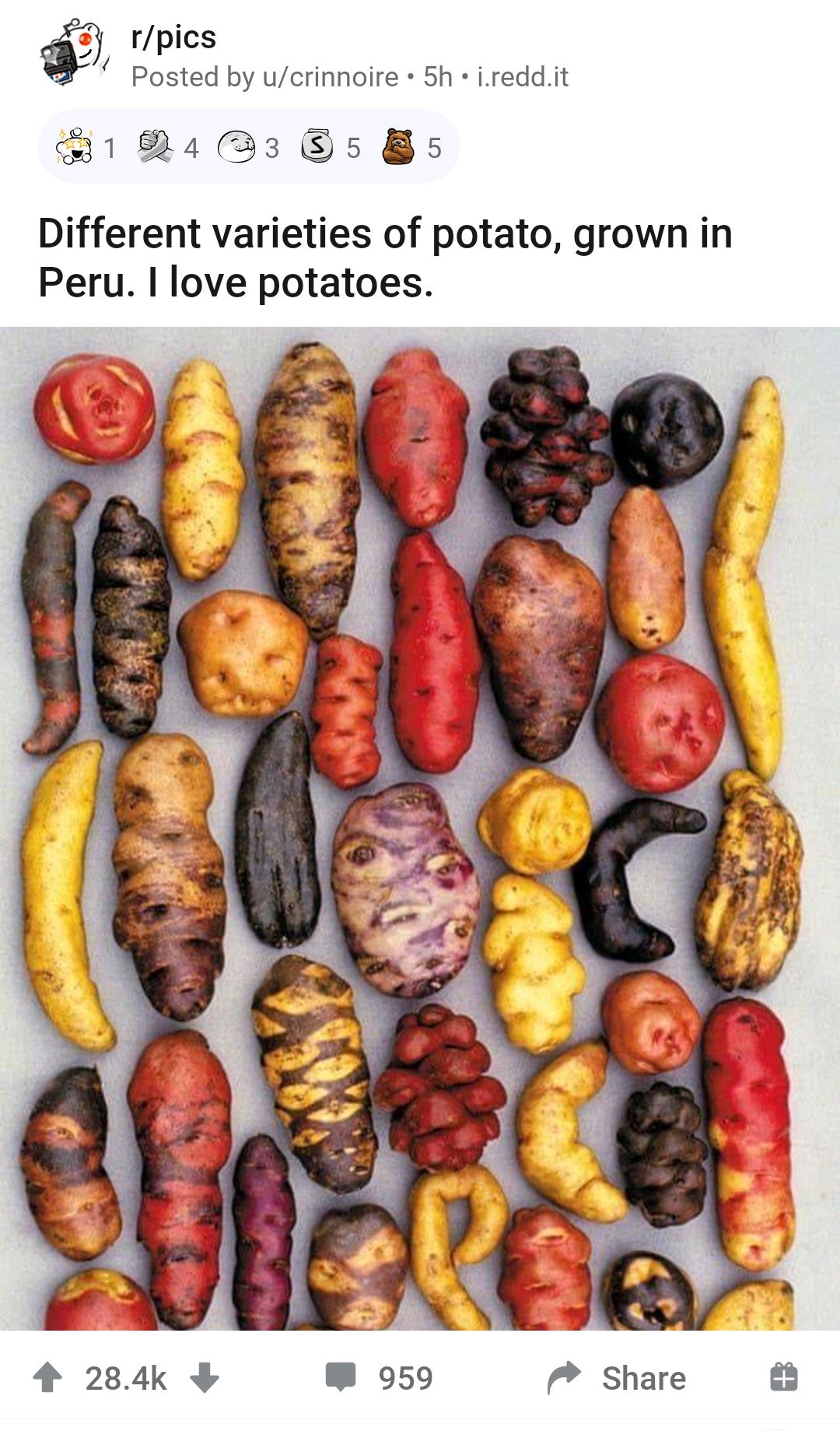 土豆种类知多少,看看秘鲁种植的土豆种类,超出想象