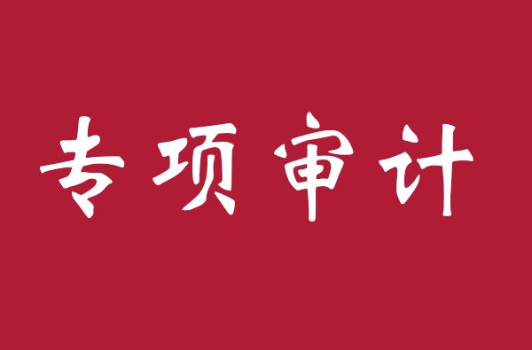 公司财务审计报告怎么做?公司财务设计报告哪家好